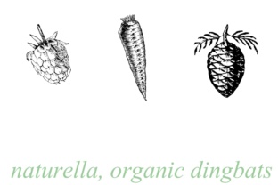 Naturella: A Natural Font for Business Beauty